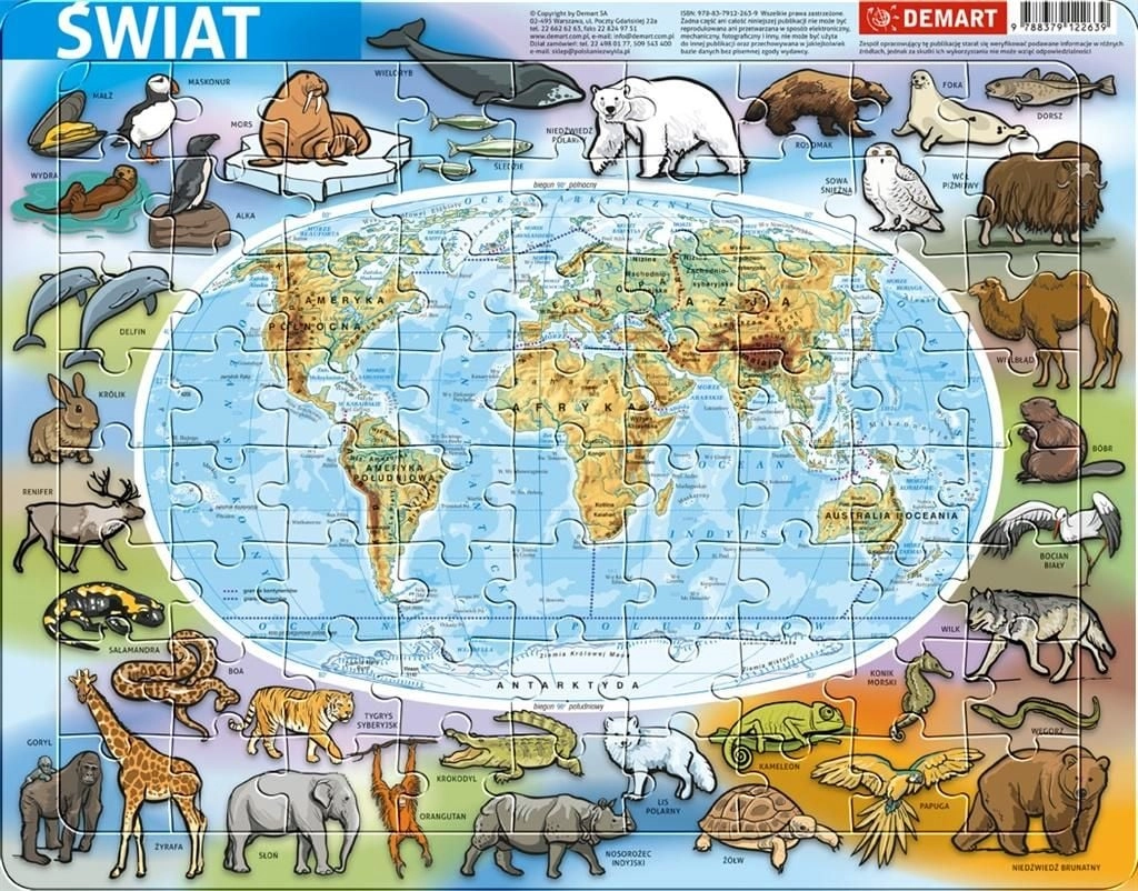 Demart Frame Puzzle - Physical World