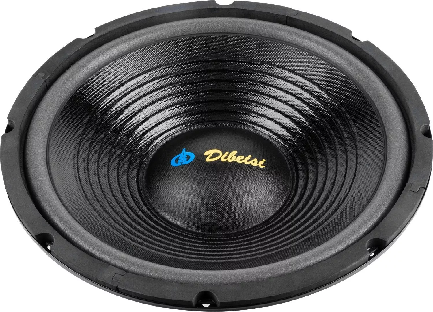 Dibeisi car speaker 12" speaker  DBS-G1202