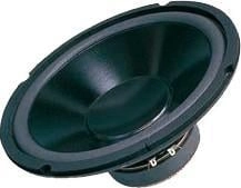 Dibeisi car speaker 10" speaker DBS-G1001