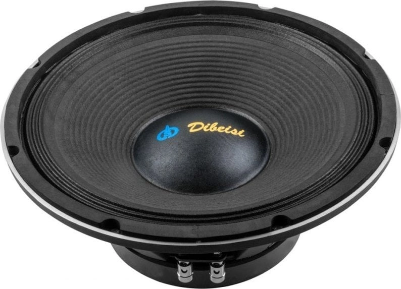 Dibeisi car speaker 12" speaker DBS-PS1205-8