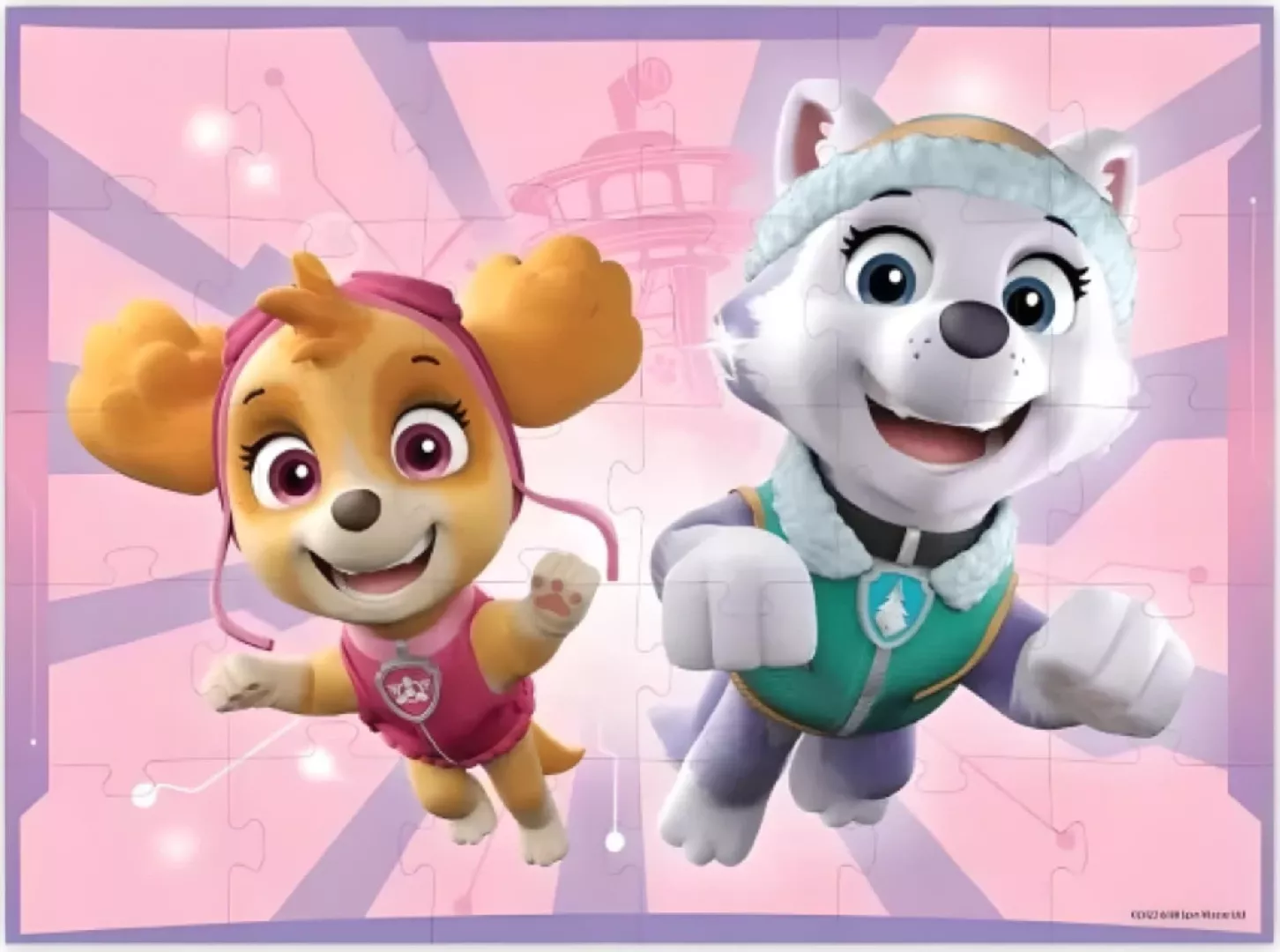 Dodo *****Puzzle 30el Paw Patrol DOB5628