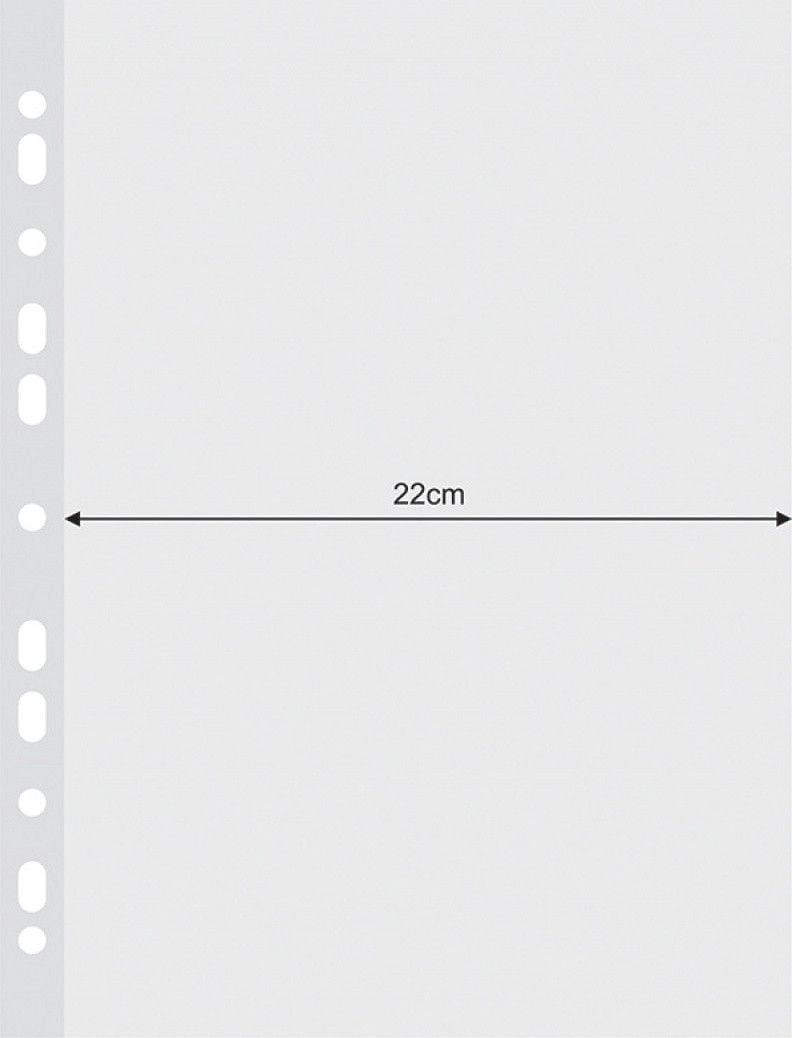 Donau DONAU document sleeves  widened  PP