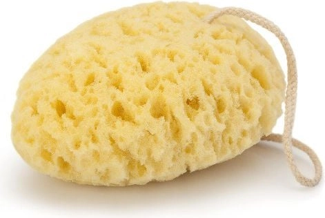 Donegal WASHING SPONGE oval (6009) 276009