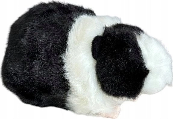 Guinea pig black and white 20cm