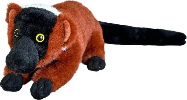 Lemur vari rudy 25cm 5905965330856