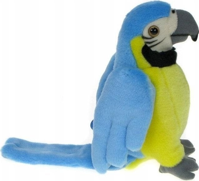 Dubi Blue parrot 25cm 5906655048761