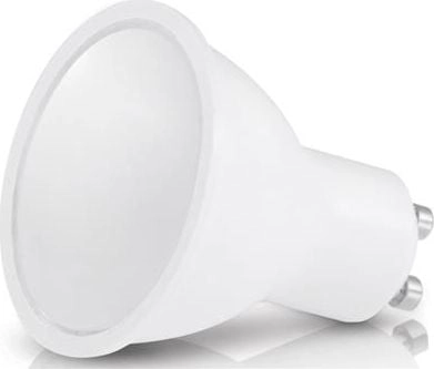 ECOLIGHT2 Żarówka LED Eco Light 5W