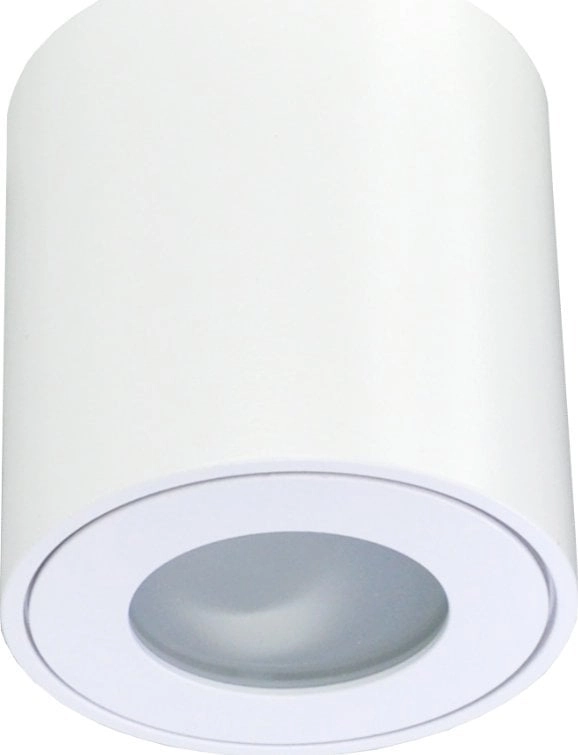 Lampa sufitowa ECOLIGHT2 Eco Light EC79971