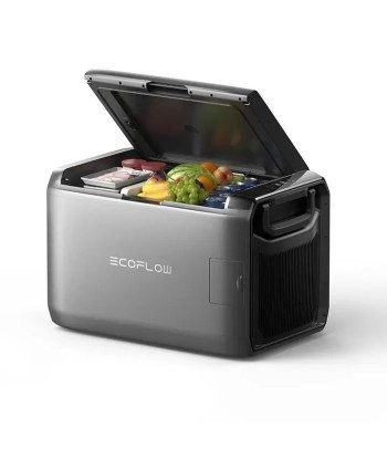 Przenośna lodówka EcoFlow Glacier Classic 55l