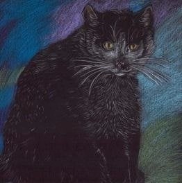 Emg Notes. Pastel cat 493437 5902768135176