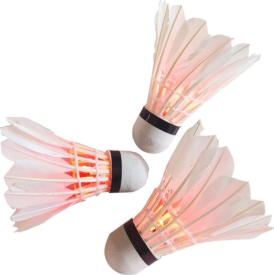 BADMINTON SHUTTLETE WITH FEATHERS 3 PCS