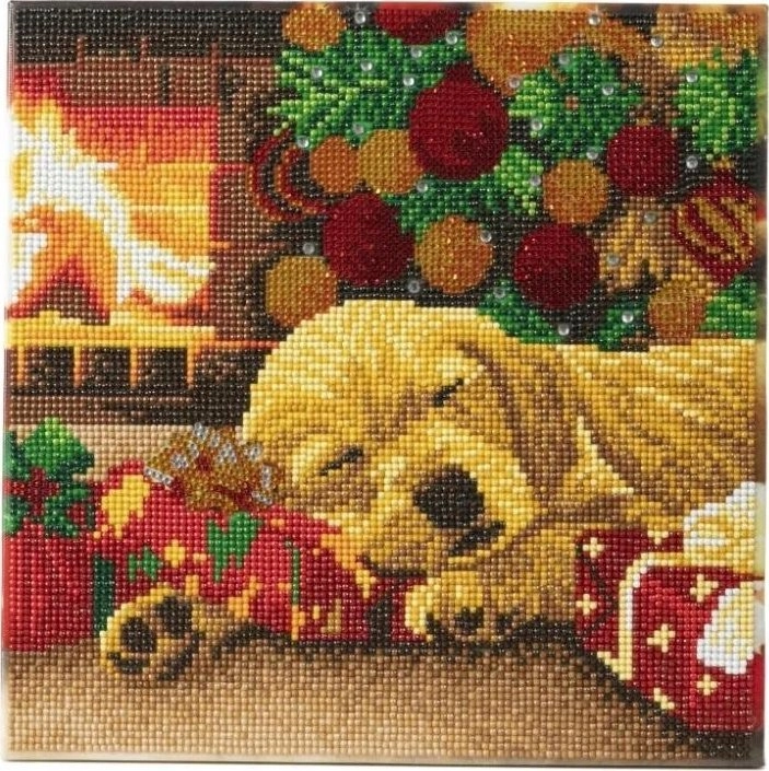 Picture on canvas 30x30cm with Labrador