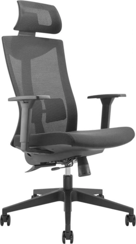 Premium ergonomic office chair with high