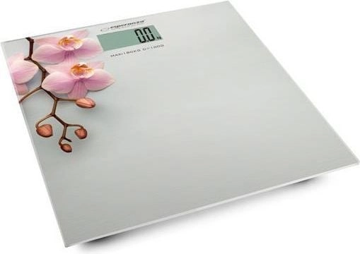 Esperanza EBS011 Orchid szary EBS010 HPESPWLEBS00010