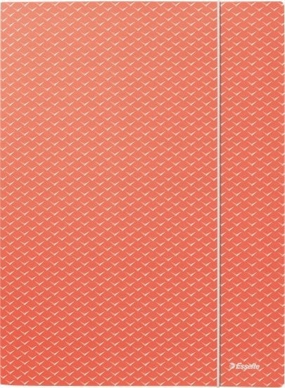 Esselte Teczka z zak� Colour````Breeze A4