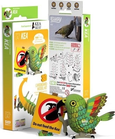 Papuga Kea Eugy. Eko Układanka 3D