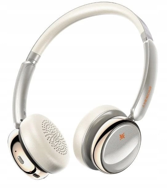 FiiO Snowsky Anytime - Titanium Gold