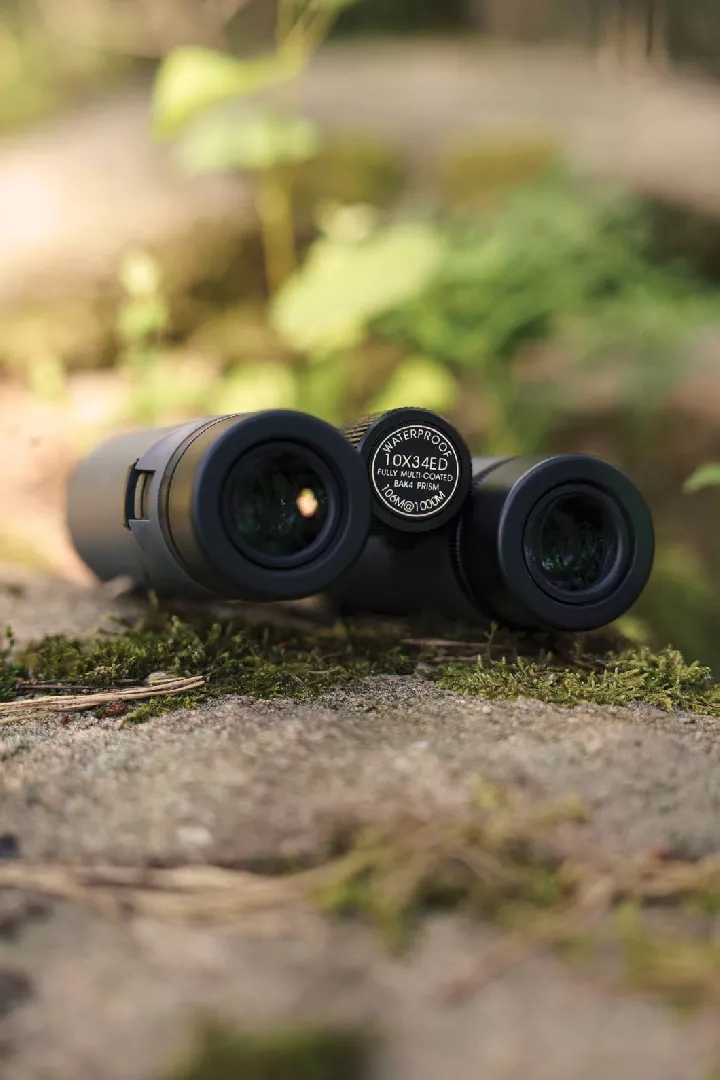 Binoculars Focus Observer 10x34 ED B1323