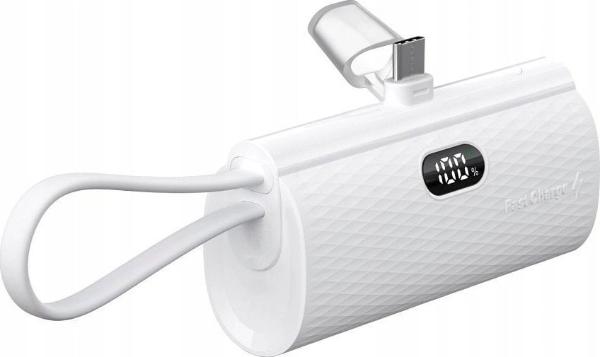 Powerbank ForCell FORCELL F-ENERGY Power Plug