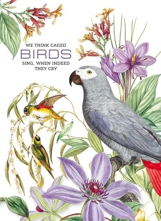 Fresh Decorative notebook 165x238/80K Parrots grid