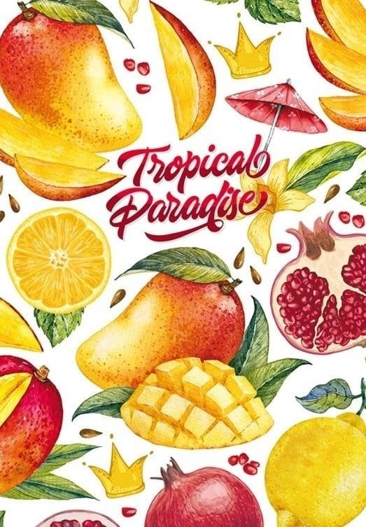 Decorative notebook 143x210/80K grid Exotic fruits