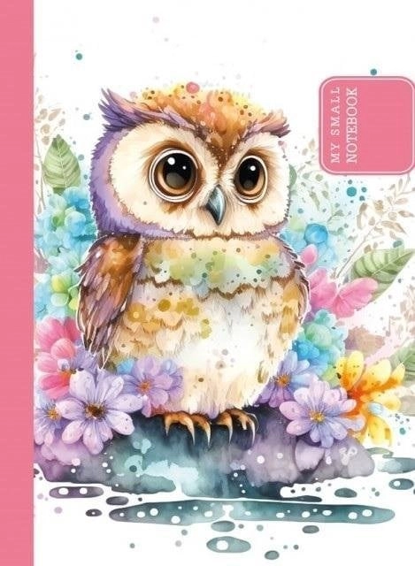 Decorative notebook 105x148/48K smooth TW Sowa