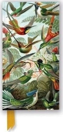 Notatnik line TW Kolibry Ernst Haeckel