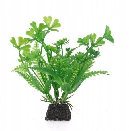Aqua Natura  plant  for aquarium decoration