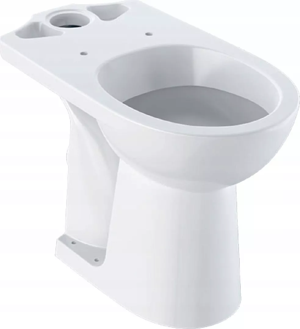 Geberit toilet bowl Geberit Selnova Comfort
