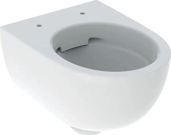 Geberit toilet bowl Geberit Selnova Compact