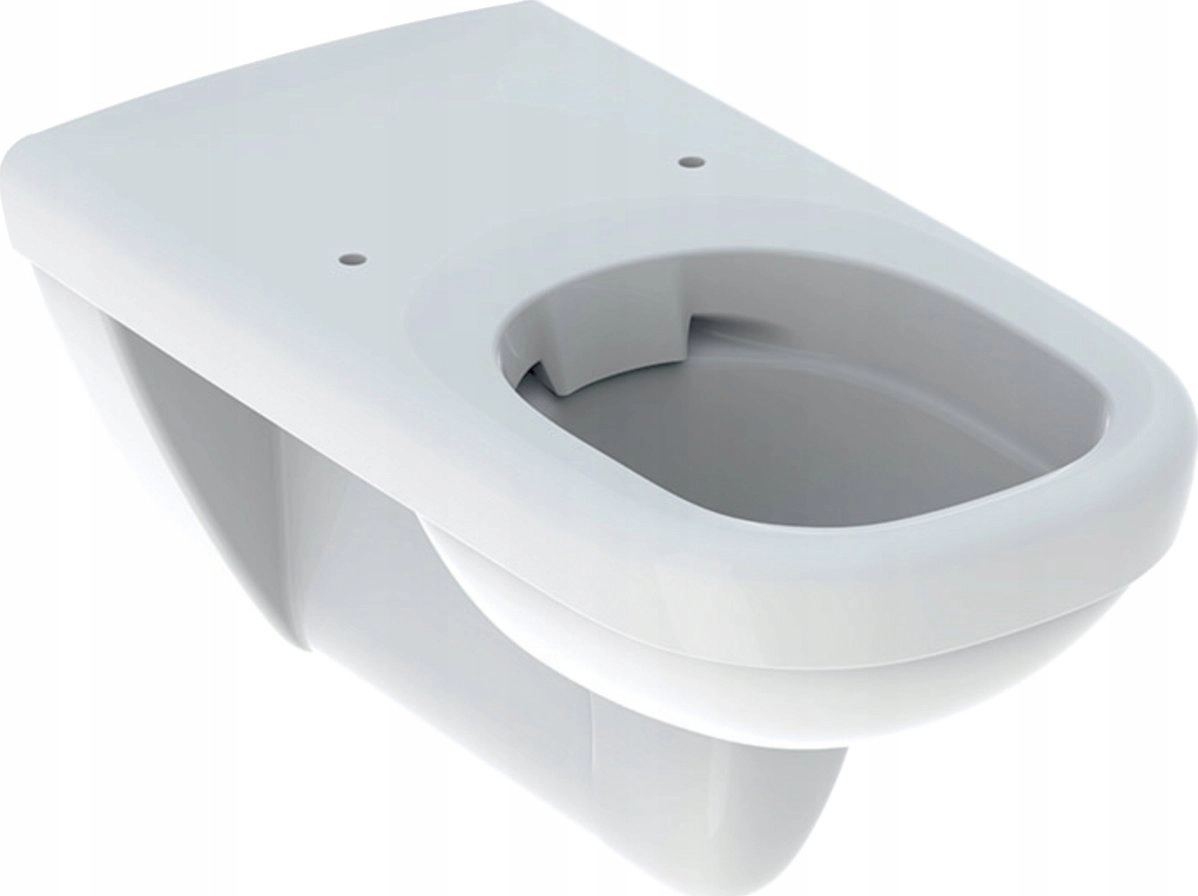 Geberit Selnova Comfort Wall-hung toilet funnel