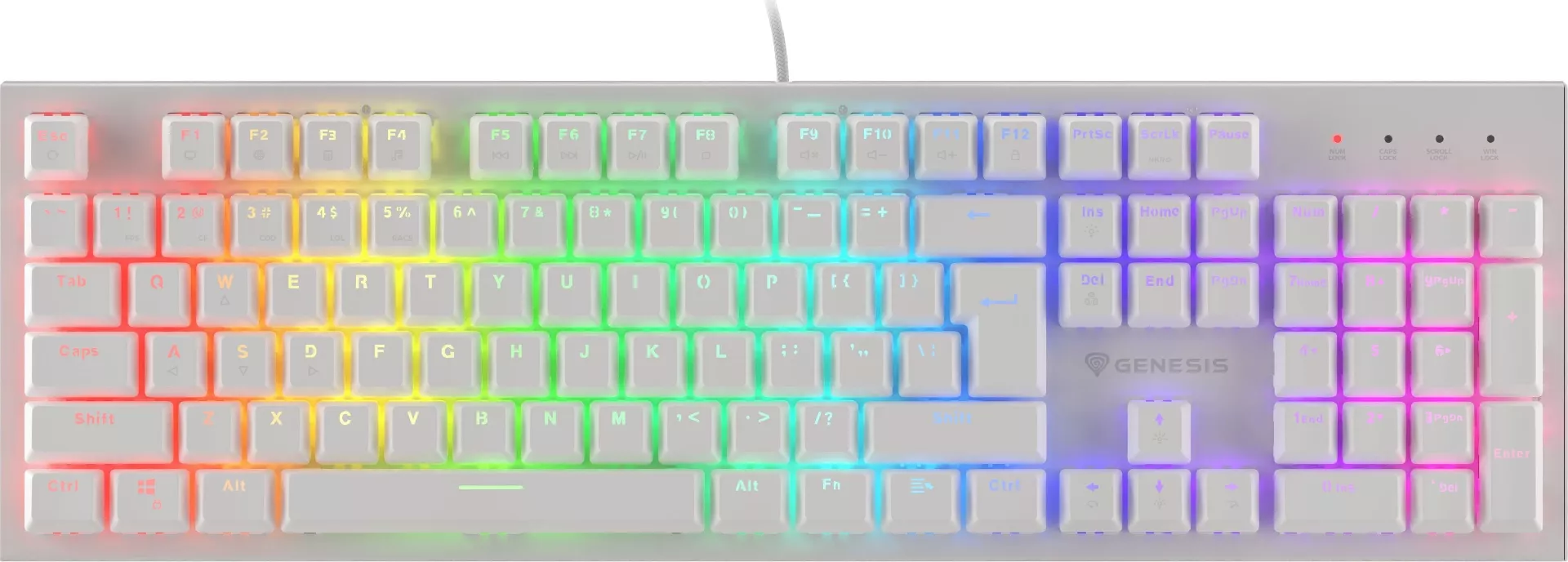 Genesis Thor 303 tastatūra — Outemu Brown (NKG-1865)