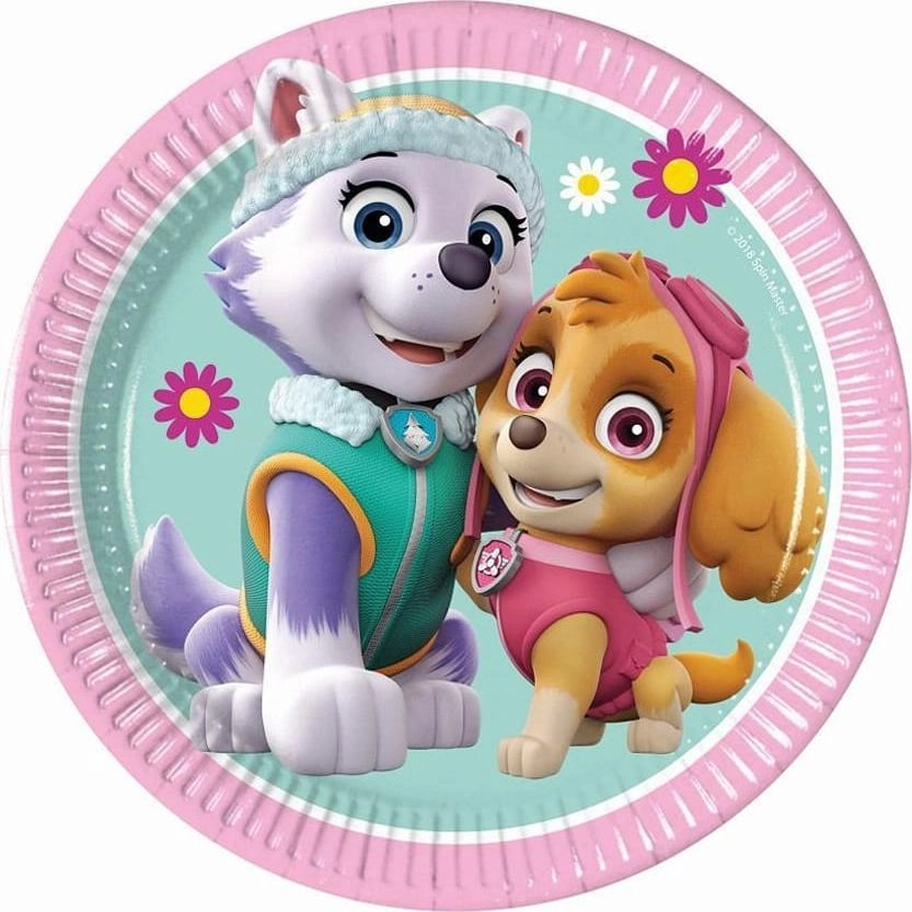Paw Patrol paper plates 20cm 8