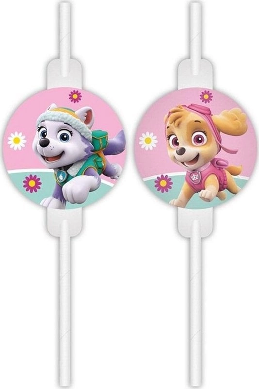 Paper tubes with Paw Patrol medallion