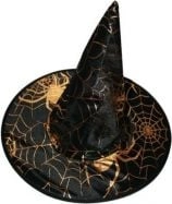 Witch hat with golden spider web