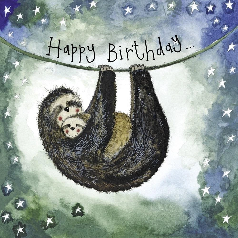 Birthday Pass S397 Sloths 5060108719063