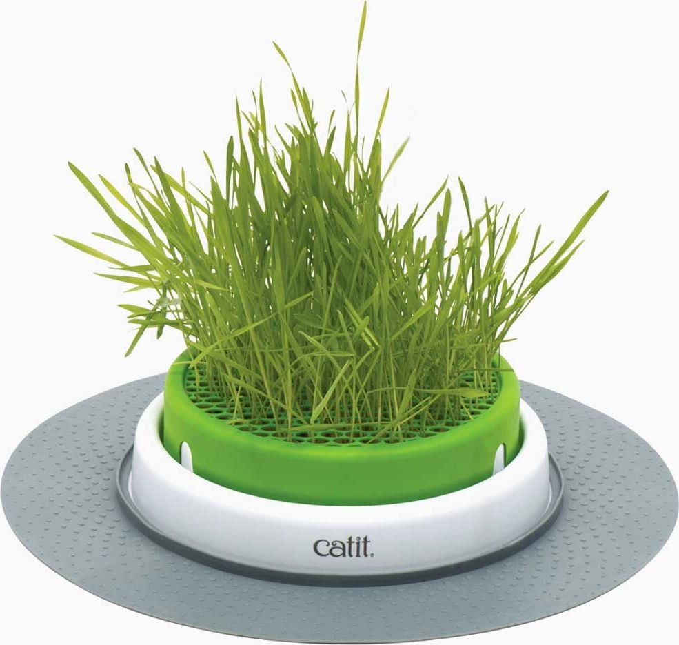 Hagen Catit Senses garden grass set