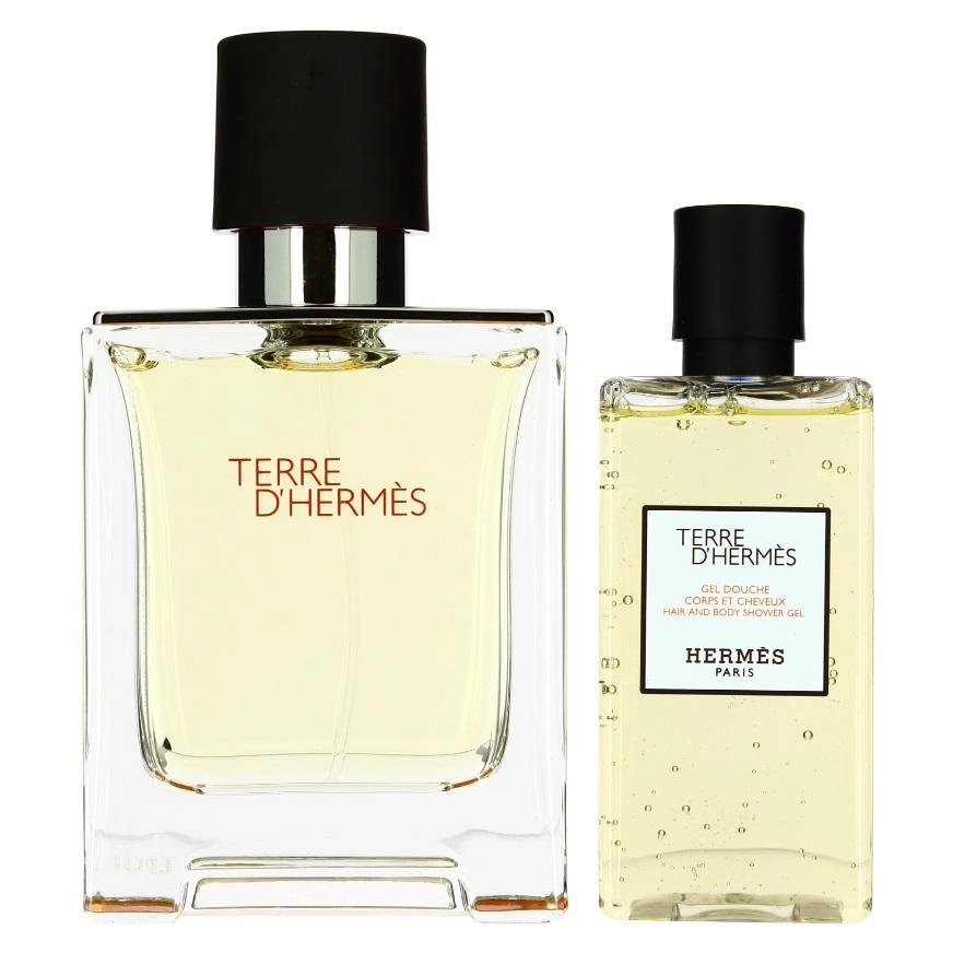 Set Hermes Terre D````Hermes Edt 100ml
