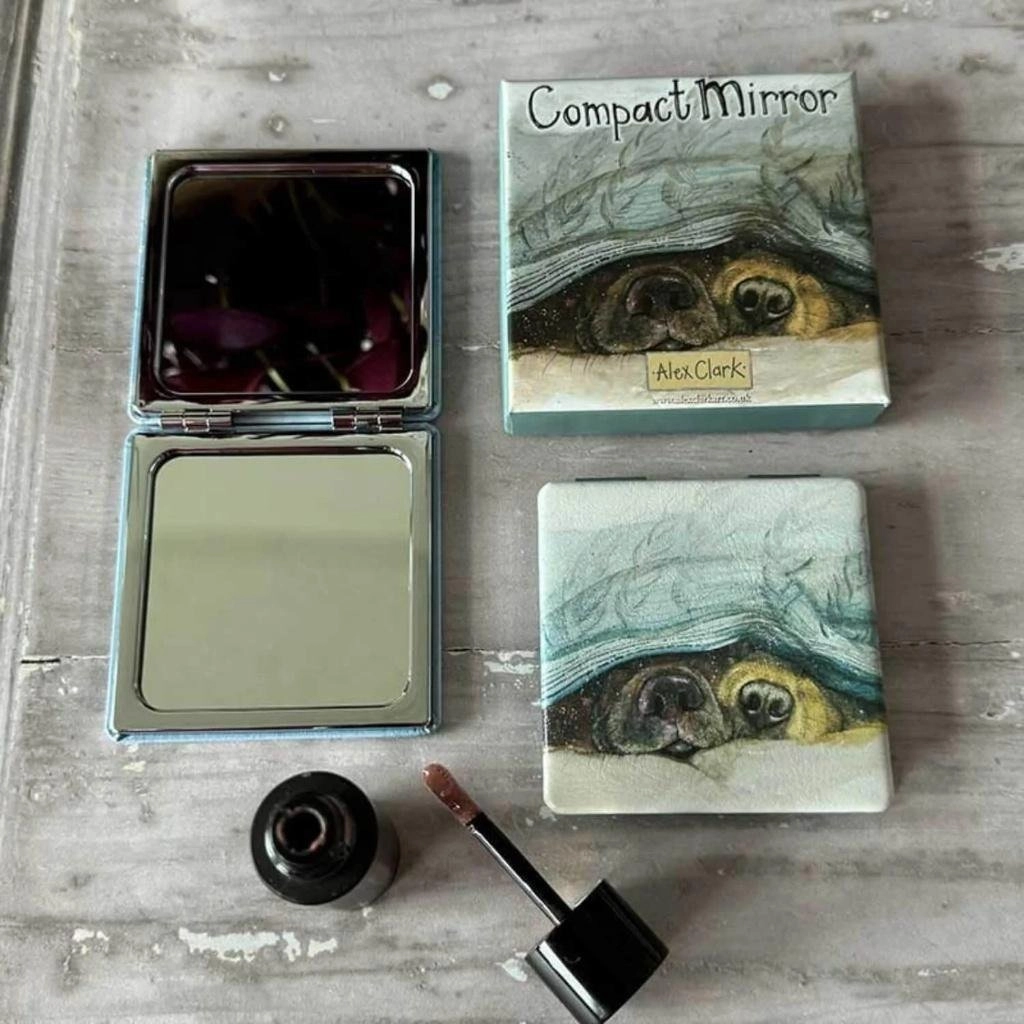Mirror in a box Dog noses