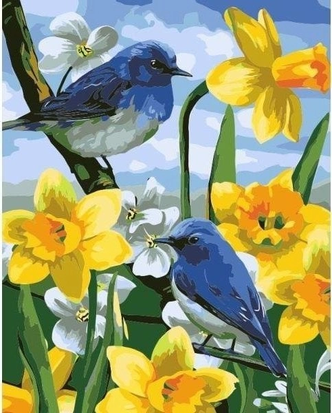 Painting by numbers - 40x50cm Birds