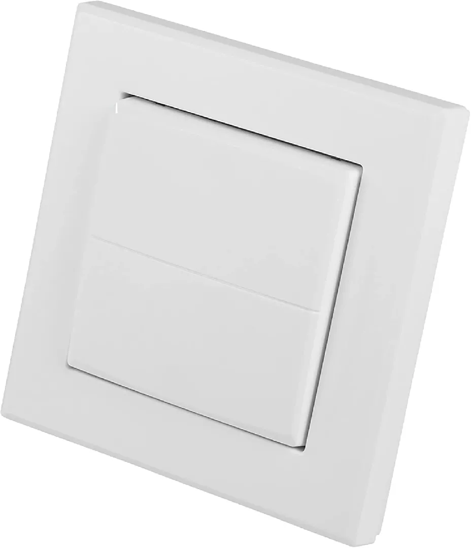 Homematic IP rocker switch for brand
