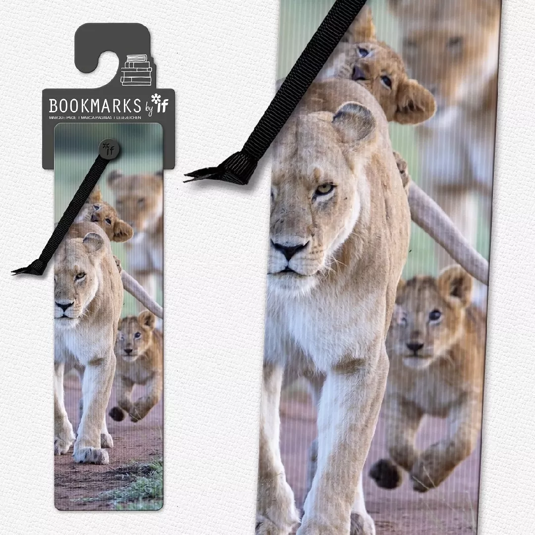 3D bookmark 15403 - Lion cubs
