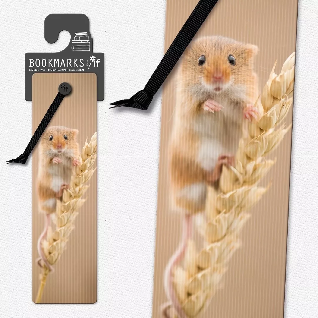 IF 3D Tab 15407 - Mouse