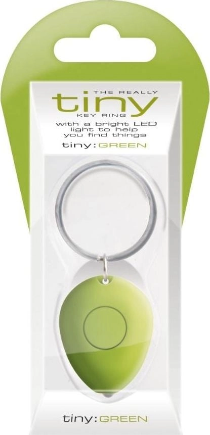 Really Tiny Keyring - key chain