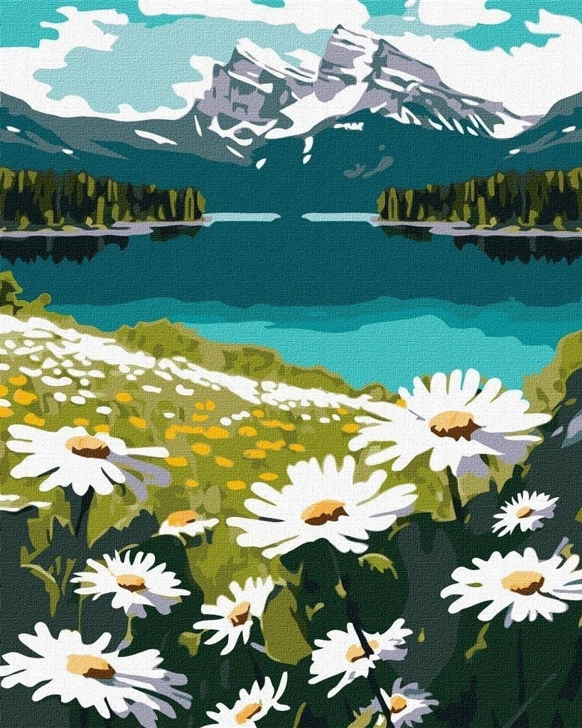 Painting by numbers - Blooming daisies