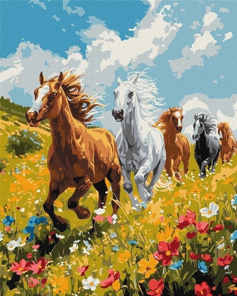 Painting by numbers - Field Harmony