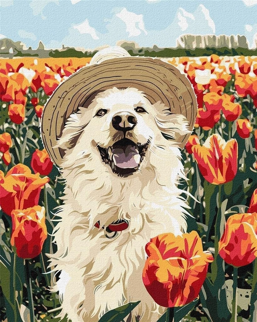 Painting by numbers - Happy Labrador