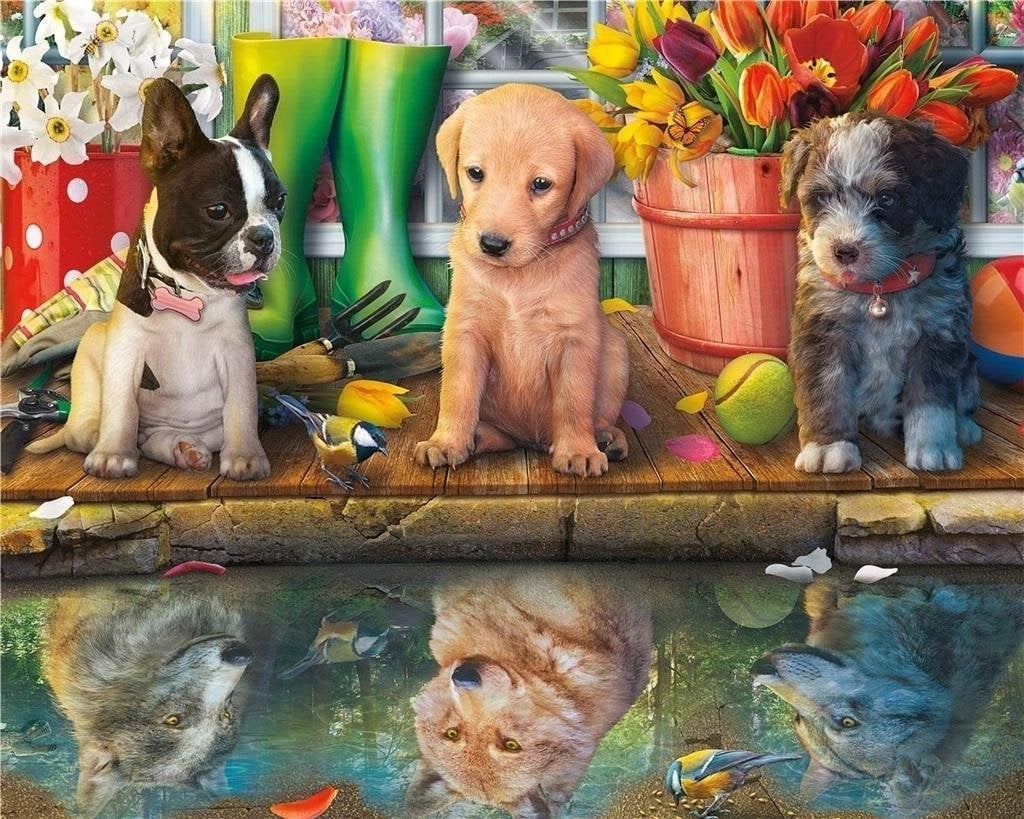 Painting by numbers - 30x40cm Puppies