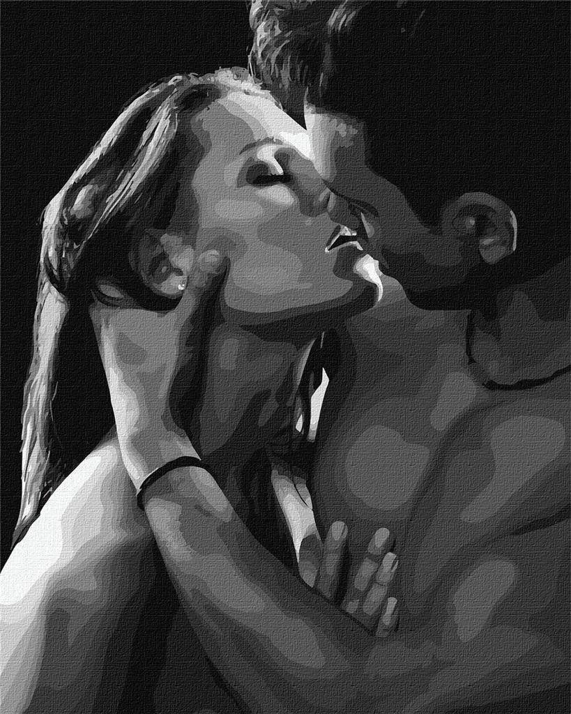 Painting by numbers - Passionate kiss40x50cm