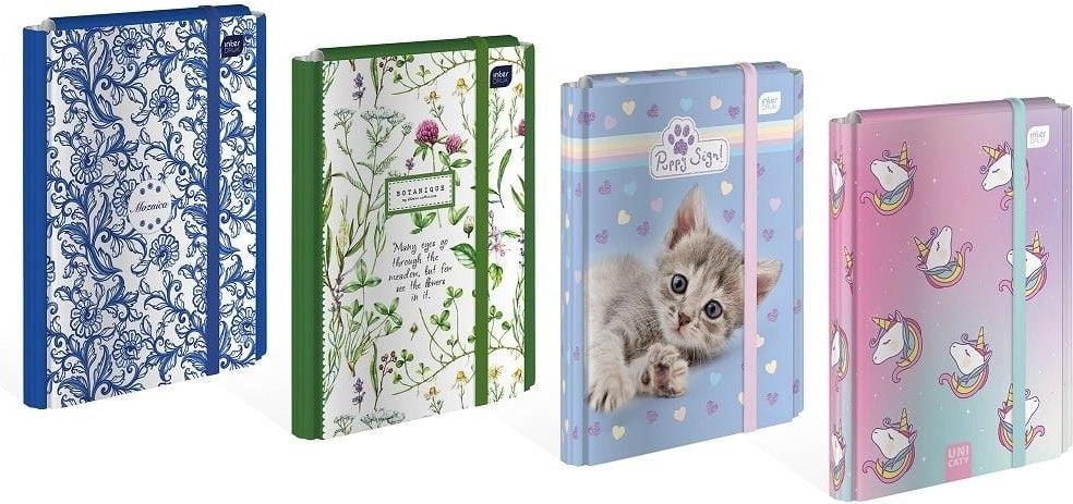 Interdruk Folder with elastic band A4